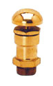 Air Release Valve